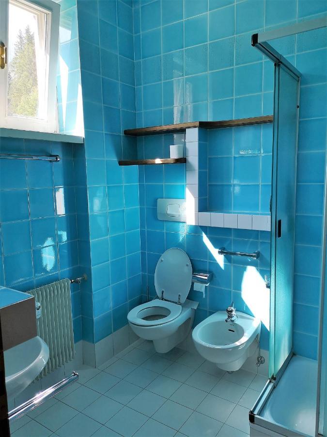 Delizioso Monolocale Appartement Toblach Buitenkant foto